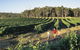 2-Day Margaret River Wine Experience From Perth - thumb 3