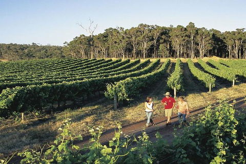 2-Day Margaret River Wine Experience From Perth - Accommodation Nelson Bay 3