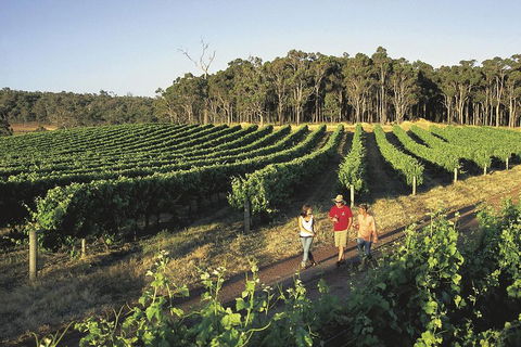 Margaret River, Caves, Wine And Cape Leeuwin Lighthouse Tour From Perth - Accommodation Nelson Bay 1
