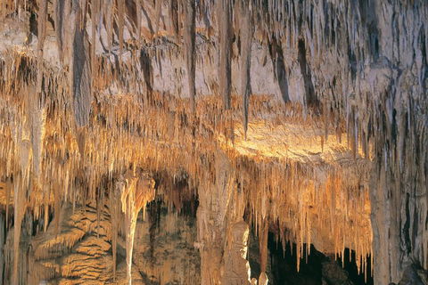 Margaret River, Caves, Wine And Cape Leeuwin Lighthouse Tour From Perth - Accommodation Nelson Bay 3