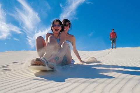 Full Day Pinnacle Desert Explorer From Perth Including Hillarys And Lancelin Sandboarding - Accommodation Nelson Bay 1
