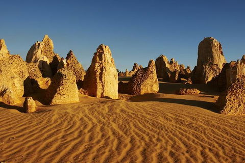 Full Day Pinnacle Desert Explorer From Perth Including Hillarys And Lancelin Sandboarding - Accommodation Nelson Bay 3