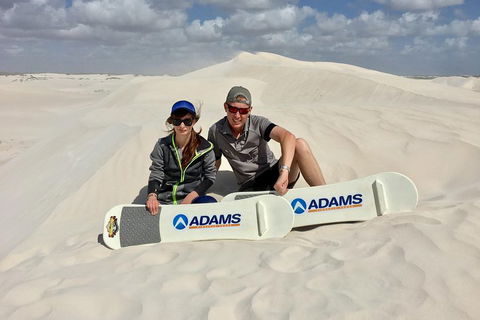 Full Day Pinnacle Desert Explorer From Perth Including Hillarys And Lancelin Sandboarding - Accommodation Nelson Bay 4