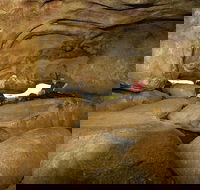 2-Day Wave Rock York Wildflowers  Aboriginal Experience - Accommodation Nelson Bay