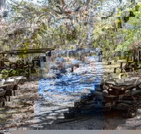 Small-Group Buggy Tour at Little Sahara with Guide - Nelson Bay Accommodation.com