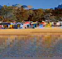 Mornington Peninsula Small Group day tour - Accommodation Nelson Bay