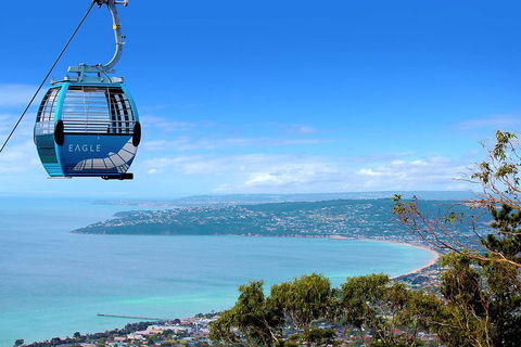 Mornington Peninsula Small Group Day Tour - Accommodation Nelson Bay 2