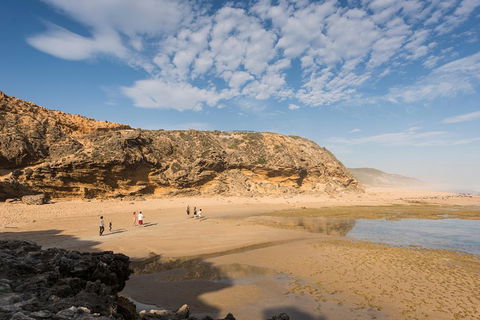 Mornington Peninsula Small Group Day Tour - Accommodation Nelson Bay 5