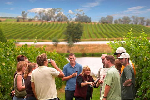 Yarra Valley Wine And Winery Tour From Melbourne - Accommodation Nelson Bay 0