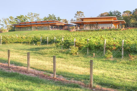 Yarra Valley Wine And Winery Tour From Melbourne - Accommodation Nelson Bay 1