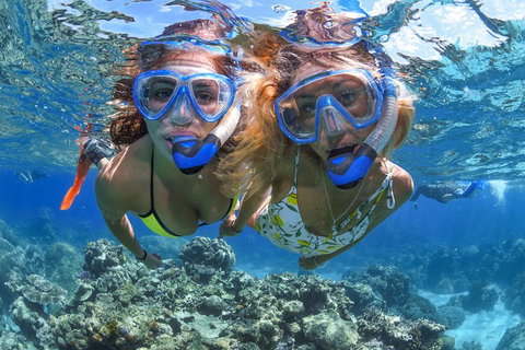 Great Barrier Reef Snorkeling And Diving Cruise From Cairns - Accommodation Nelson Bay 3