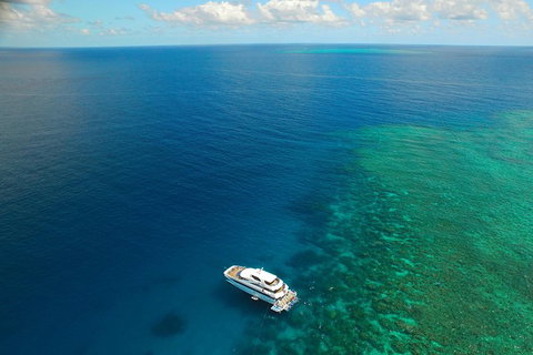 Great Barrier Reef Snorkeling And Diving Cruise From Cairns - Accommodation Nelson Bay 4