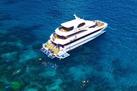 Great Barrier Reef Snorkeling And Diving Cruise From Cairns - Accommodation Nelson Bay 5