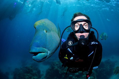 Full Day Reef Cruise Including 10 Minute Heli Scenic Flight: Get High Package - Accommodation Nelson Bay 1