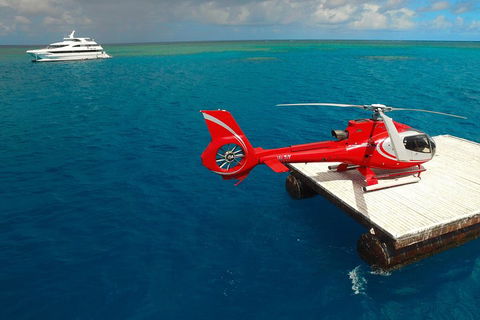 Full Day Reef Cruise Including 10 Minute Heli Scenic Flight: Get High Package - Accommodation Nelson Bay 3