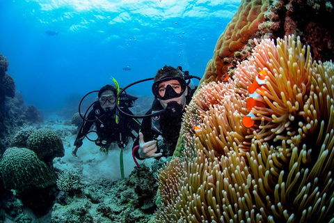Full Day Reef Cruise Including 10 Minute Heli Scenic Flight: Get High Package - Accommodation Nelson Bay 5