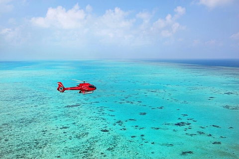 Ultimate Great Barrier Reef And Rainforest 45-minute Helicopter Tour - Accommodation Nelson Bay 2