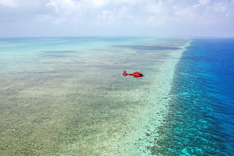 Ultimate Great Barrier Reef And Rainforest 45-minute Helicopter Tour - Accommodation Nelson Bay 5