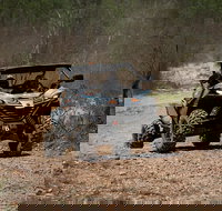 Octopussy 1.5 hour off-road tour in Darwin 1 person in 2 seater - Accommodation Nelson Bay