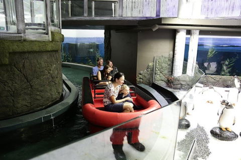 Sydney Attractions Pass: SEA LIFE Aquarium, Sydney Tower Eye, WILD LIFE Zoo And Madame Tussauds - Accommodation Nelson Bay 0