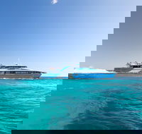 Fremantle to Rottnest Island Roundtrip Ferry Ticket - Accommodation Nelson Bay