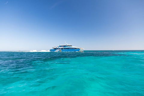 Rottnest Island Bike & Ferry Package From Fremantle - Accommodation Nelson Bay 0