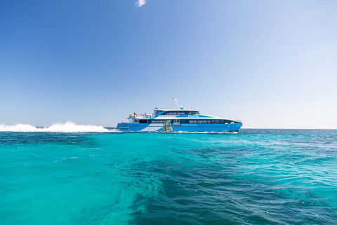 Rottnest Island Bike, Snorkel & Ferry Package From Fremantle - Accommodation Nelson Bay 0