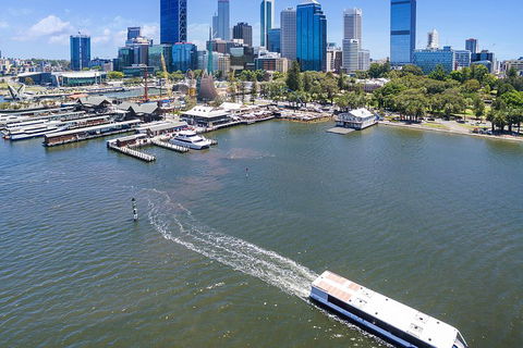 Summer Lunch Cruise - Accommodation Nelson Bay 2