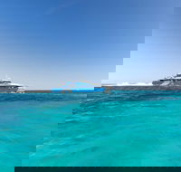 Rottnest Island Fortress Adventure Segway Package from Fremantle - Accommodation Nelson Bay