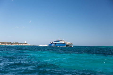 Rottnest Island Bike & Ferry Package From Perth - Accommodation Nelson Bay 2