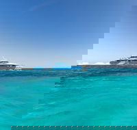 Rottnest Island Bayseeker Day Trip from Perth - Accommodation Nelson Bay