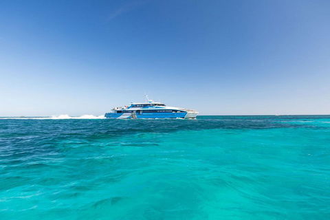 Rottnest Island Bayseeker Day Trip From Perth - Accommodation Nelson Bay 0