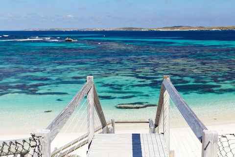 Rottnest Island Bayseeker Day Trip From Perth - Accommodation Nelson Bay 3