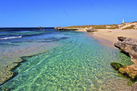 Rottnest Island Bayseeker Day Trip From Perth - Accommodation Nelson Bay 5