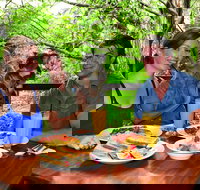 Breakfast with the Koalas at Hartley's Crocodile Park from Cairns or Palm Cove - Accommodation Nelson Bay