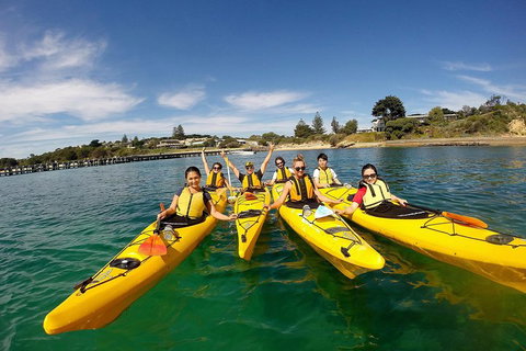 Mornington Peninsula Kayak Coastline Tour Of Dolphin Sanctuary - Accommodation Nelson Bay 2