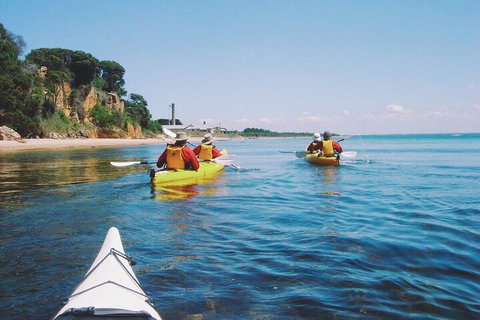 Mornington Peninsula Kayak Coastline Tour Of Dolphin Sanctuary - Accommodation Nelson Bay 5