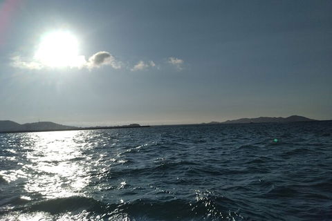 Townsville Small Group Early Morning Sailing Cruise Boat Tour Charter Hire - Accommodation Nelson Bay 4