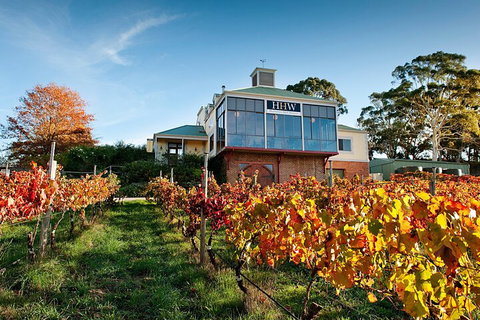 Adelaide Hills Food, Wine, Cheese, & Chocolate - Private Day Tour - Accommodation Nelson Bay 3