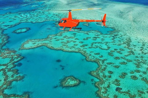 Whitehaven Heli Tour - Accommodation Nelson Bay 3