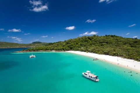 Whitehaven Beach And Hill Inlet | Awesome Beach BBQ | Family Friendly - Accommodation Nelson Bay 3