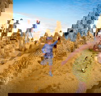 Full-Day Pinnacles Desert and Yanchep National Park Tour From Perth - Accommodation Nelson Bay