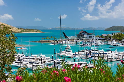 Whitehaven Beach And Hamilton Island Cruise - Accommodation Nelson Bay 3