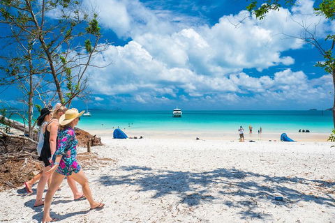 Whitehaven Beach Half-Day Cruises - Accommodation Nelson Bay 1