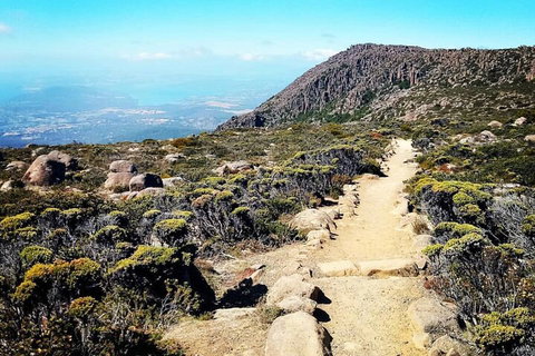 Mount Wellington Ultimate Experience Tour From Hobart - Accommodation Nelson Bay 5