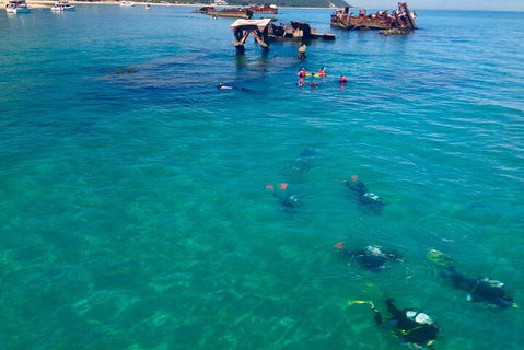 Adventure Moreton Island Scuba Dive Tour - Accommodation Nelson Bay 0