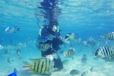 Adventure Moreton Island Scuba Dive Tour - Accommodation Nelson Bay 1