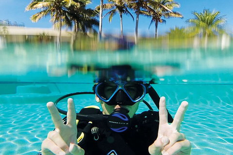 Adventure Moreton Island Scuba Dive Tour - Accommodation Nelson Bay 2