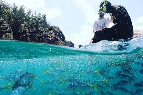 2 Night Small Group Whitsundays Sailing Adventure Aboard Mandrake - Accommodation Nelson Bay 5