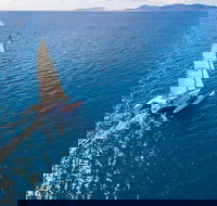 2-Night Whitsunday Islands Sailing Adventure on Trimaran Avatar - Accommodation Nelson Bay